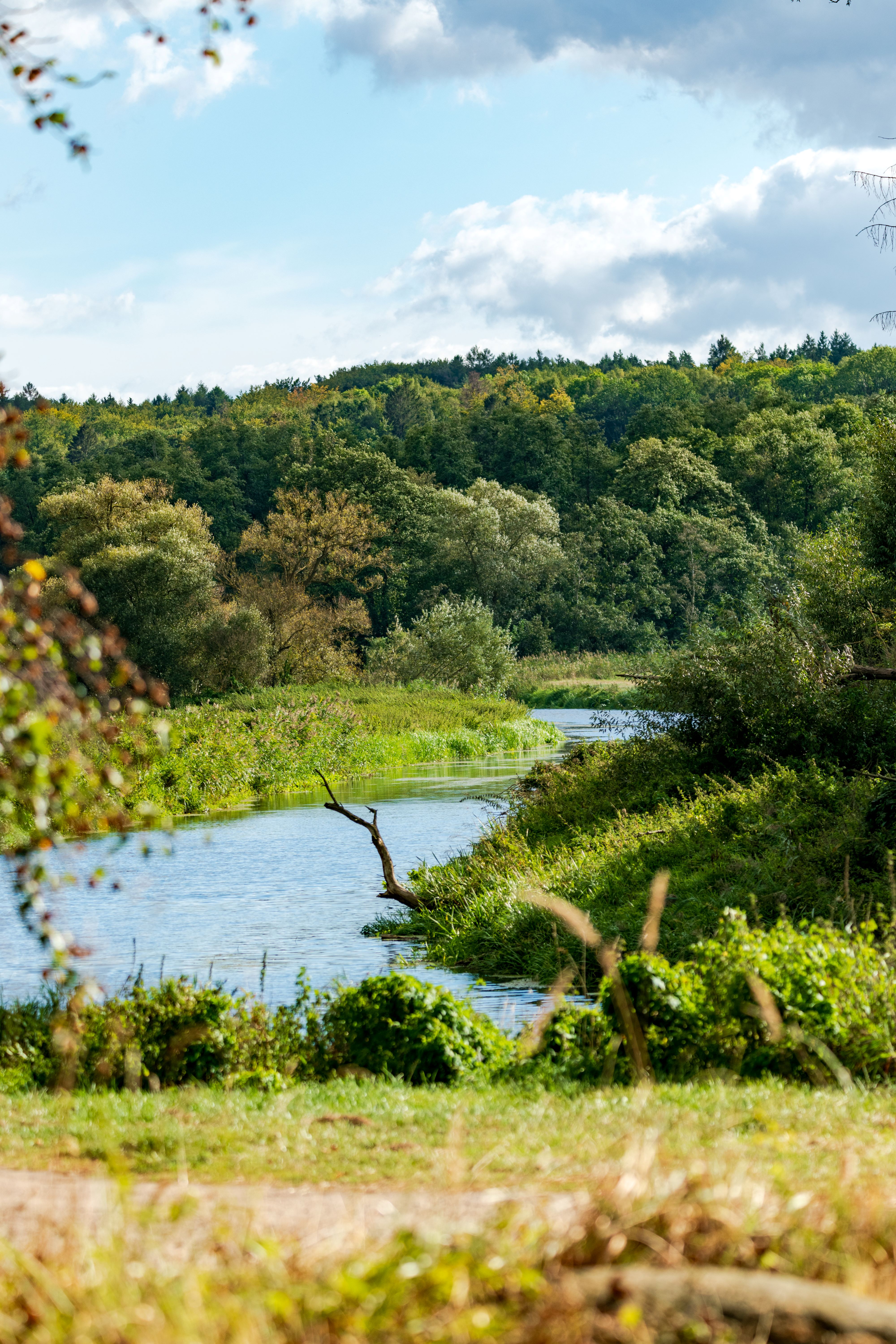 The wild original landscapes on the banks of the great